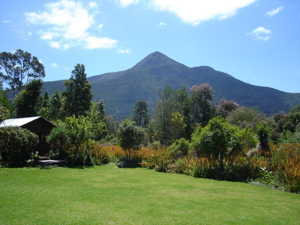 Pear Tree Cottage Stormsrivier Camera foto