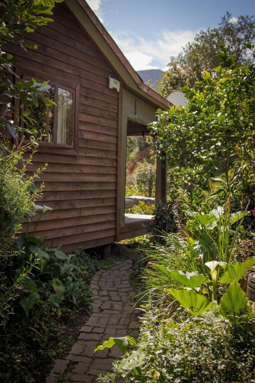 Pear Tree Cottage Stormsrivier Esterno foto