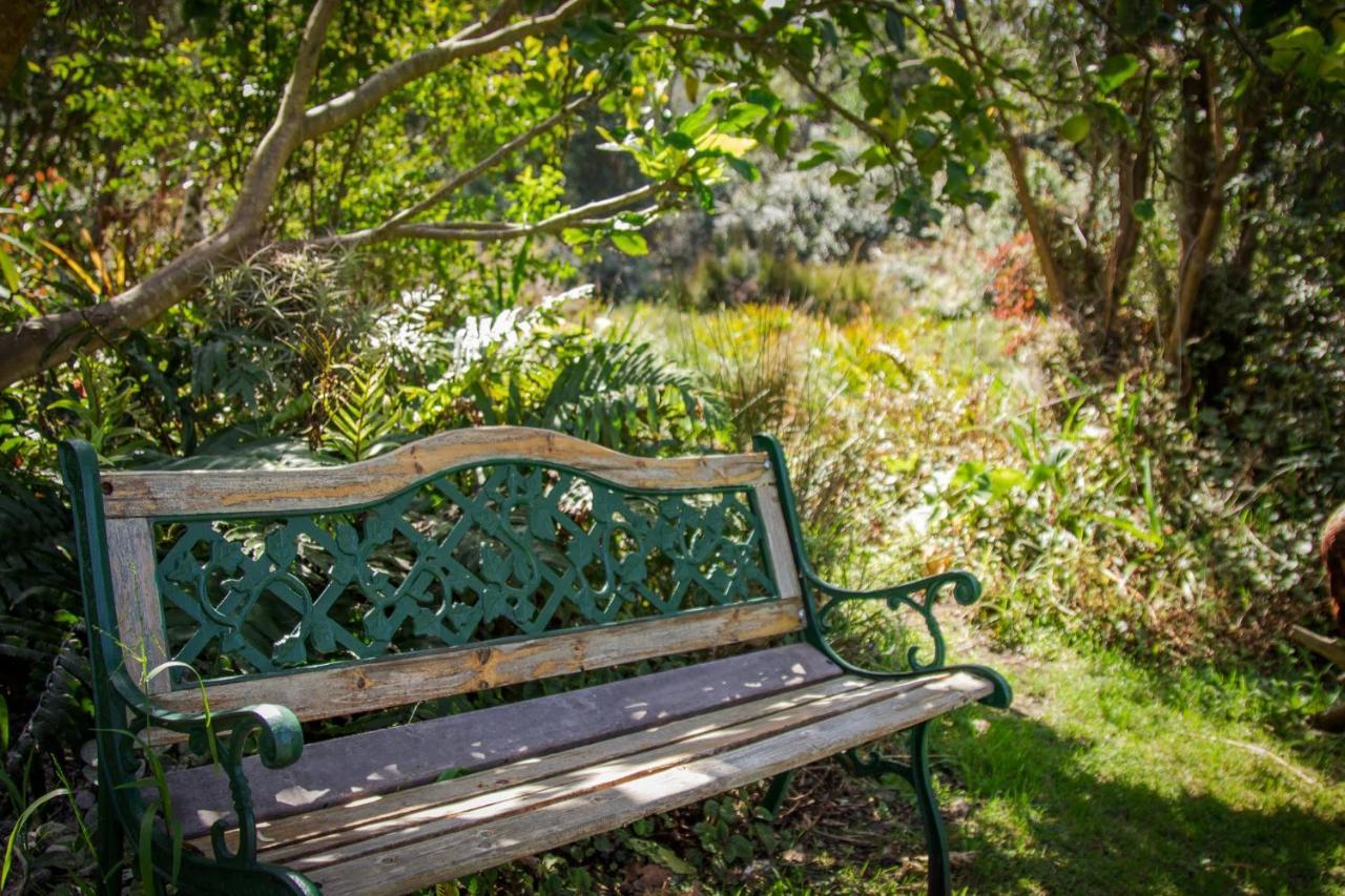 Pear Tree Cottage Stormsrivier Esterno foto